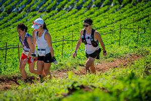 BIB: 905
                            <button type="button" onclick="openModal(19162697)" class="btn btn-primary btn-sm float-right btn-popup" data-toggle="modal" data-target=".modal-high-quality">
                        <i class="fas fa-shopping-cart"></i> Add to Cart
                    </button>
                                            <button type="button" onclick="isThisMe(19162697, true)" class="btn btn-success btn-sm float-right btn-popup btn-isme hidden" data-toggle="tooltip" data-placement="bottom" title="นี่คือรูปของคุณใช่ไหม คลิกที่นี่เพื่อเอาเข้าอัลบั้ม">
                        <i class="fas fa-plus"></i> Add to album
                    </button>
                    <button type="button" onclick="isThisMe(19162697, false)" class="btn btn-warning btn-sm float-right btn-popup btn-isnotme hidden">
                        <i class="fas fa-ban"></i> Remove from album
                    </button>